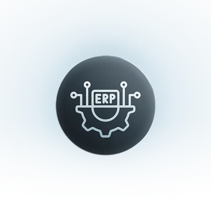 ERP systems. ERP system development and setup.